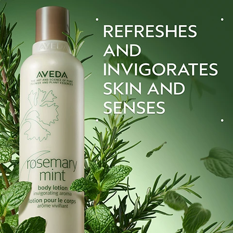 Image 2 - An Aveda Rosemary Mint body lotion bottle, light beige with a brown cap, is featured, surrounded by fresh rosemary and mint leaves on a green background, displaying text REFRESHES AND INVIGORATES SKIN AND SENSES, and bottle label details Aveda The Art and Science of Pure Flower and Plant Essences rosemary mint body lotion invigorating aroma lotion pour le corps arôme vivifiant. Image 3 - The image shows sprigs of fresh rosemary and mint leaves on a light green background, with dark green sections at the top and bottom, featuring the text Rosemary & Mint and Invigorating aroma proven to awaken the senses and improve focus. Image 4 - A smooth, off-white dollop of cream or lotion with soft swirls is shown on a white background, casting a subtle shadow. Image 5 - The image shows two white Aveda Rosemary Mint product bottles, one with a pump dispenser and one with a flip-top cap, positioned on a dark green background, accompanied by instructional text that reads HOW TO USE 01 CLEANSE Rosemary Mint Hand and Body Wash 02 MOISTURIZE Rosemary Mint Body Lotion, and the bottles themselves display the text AVEDA THE ART AND SCIENCE OF PURE FLOWER AND PLANT ESSENCES, with the left bottle further labeled rosemary mint hand and body wash invigorating aroma nettoyant pour les mains et le corps arôme vivifiant, and the right bottle labeled rosemary mint body lotion invigorating aroma lotion pour le corps arôme vivifiant. Image 6 - Four light green bottles of Aveda Rosemary Mint purifying shampoo, weightless conditioner, hand and body wash, and body lotion, each with a brown cap, are arranged on a green surface surrounded by fresh rosemary sprigs and mint leaves, with additional mint leaves floating in the dark green background, and display the text AVEDA THE ART AND SCIENCE OF PURE FLOWER AND PLANT ESSENCES rosemary mint purifying shampoo invigorating aroma shampooing purifiant arôme vivifiant rosemary mint weightless conditioner invigorating aroma après-shampooing ultra-léger arôme vivifiant rosemary mint hand and body wash invigorating aroma nettoyant pour les mains et le corps arôme vivifiant rosemary mint body lotion invigorating aroma lotion pour le corps arôme vivifiant. Image 7 - The image displays three white certification logos against a dark green leafy background: the 100% VEGAN V-label, the Certified B Corporation logo, and the Cruelty Free INTERNATIONAL leaping bunny logo.