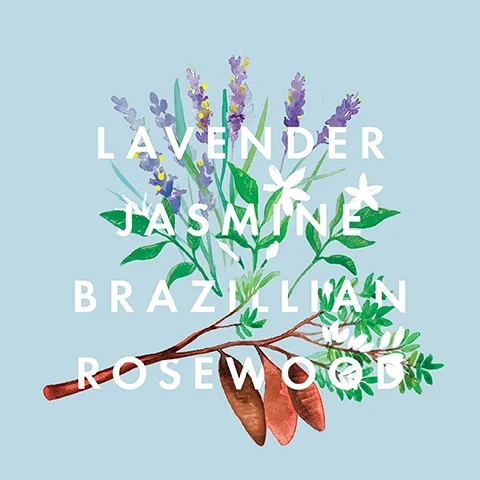 A bouquet of lavender, jasmine, and Brazilian rosewood flowers with visible text reading Lavender Jasmine Brazilian Rosewood on a light blue background.