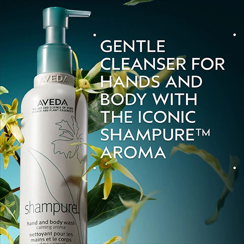 Image 2 - A white Aveda Shampure hand and body wash bottle with a teal pump is surrounded by yellow-green flowers and leaves on a blue background, with overlay text that reads Gentle Cleanser for Hands and Body with the Iconic Shampure™ Aroma, and text on the bottle that reads Aveda, The Art and Science of Pure Flower and Plant Essences, shampure, hand and body wash, calming aroma, nettoyant pour les mains et le corps. Image 3 - The image shows lavender, white flowers, and yellow-green ylang ylang flowers arranged on a light blue-green circle against a dark green background, with the text Power Your Peace, A calming aroma with a blend of 25 pure flower and plant essences including Lavender, Petitgrain, and Ylang Ylang. Image 4 - A white and translucent cosmetic product swatch shows creamy streaks and foamy bubbles on a light grey background. Image 5 - The image displays two white Aveda Shampure bottles on a dark green background, the left a hand and body wash with a pump, the right a body lotion with a cap, with visible text including HOW TO USE, 01 CLEANSE Shampure™ Hand and Body Wash, 02 MOISTURIZE Shampure™ Body Lotion, and from the left bottle AVEDA THE ART AND SCIENCE OF PURE FLOWER AND PLANT ESSENCES shampure™ hand and body wash calming aroma nettoyant pour les mains et le corps arôme calmant, and from the right bottle AVEDA THE ART AND SCIENCE OF PURE FLOWER AND PLANT ESSENCES shampure™ body lotion calming aroma lotion pour le corps arôme calmant. Image 6 - Three white certification logos are displayed against a dark green leafy background: a 100% Vegan logo featuring a large V, a Certified B Corporation logo with a B in a circle, and a Cruelty Free International logo depicting a leaping bunny.