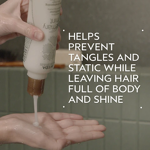 Image 2 - A persons hand holds a white AVEDA Rosemary Mint conditioner bottle, pouring a white creamy product into the open palm of their other hand, with text on the right stating HELPS PREVENT TANGLES AND STATIC WHILE LEAVING HAIR FULL OF BODY AND SHINE. Image 3 - A sprig of rosemary and mint leaves are shown on a light green circular background, surrounded by a dark green border. Text reads Rosemary & Mint. Invigorating aroma proven to awaken the senses and improve focus. Image 4 - A split image shows a woman before and after a hair treatment: on the left, her blonde hair appears dull and unwashed with visible dark roots, labeled BEFORE Unwashed Hair; on the right, her hair is clean, smooth, and shiny, labeled AFTER Results with Rosemary Mint Purifying Shampoo and Weightless Conditioner, Confixor Liquid Gel, Witch Hazel Light Hold Hair Spray, and Light Elements™ Defining Whip. Paddle Brush. Blow dried with round brush. Image 5 - The image displays a How To Use guide for hair products, showing three steps: 01 CLEANSE with a hand catching shampoo and the text Rosemary Mint Purifying Shampoo; 02 CONDITION with hands applying conditioner to wet hair and the text Rosemary Mint Weightless Conditioner; and 03 STYLE with a hand holding a Witch Hazel hair spray bottle and the text Confixor Liquid Gel, Witch Hazel Light Hold Hair Spray, and Light Elements Defining Whip. Image 6 - A split image shows a mans hair before and after styling; on the left, his flat, unwashed hair is labeled BEFORE Unwashed Hair, and on the right, his voluminous, styled hair is labeled AFTER Results with Rosemary Mint Purifying Shampoo and Weightless Conditioner, Aveda Men Pure-Formance™ Firm Hold Gel and Thickening Paste. Blow dried hair. Image 7 - A creamy, light beige cosmetic product is smeared in an elongated, wavy shape on a white background with a subtle shadow underneath. Image 8 - Three white logos for 100% VEGAN, Certified B Corporation, and Cruelty Free INTERNATIONAL are displayed against a background of dark green leaves with lighter stripes and a red plant tip.