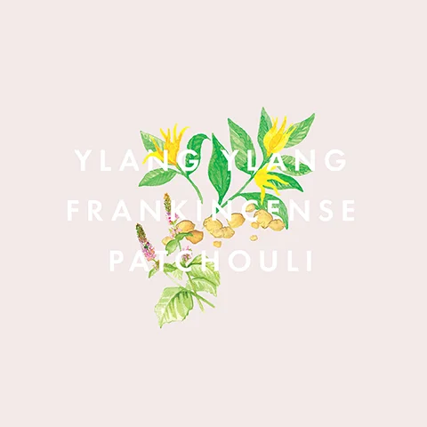 ylang ylang, frankincense and patchouli