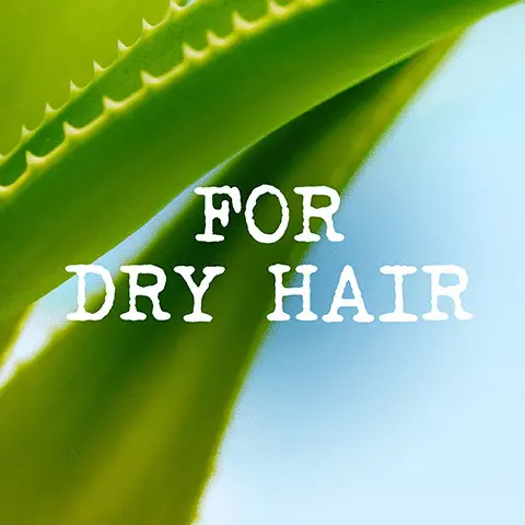 Image 1, for dry hair. Image 2, consumer feedback. Image 3, hydrate hair and give it a healthy glow and shine