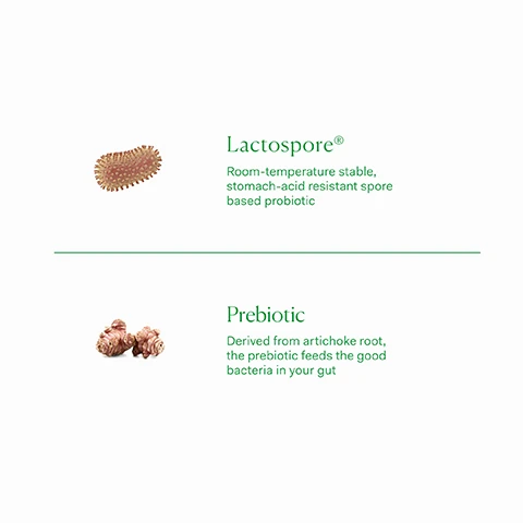 Image 1, lactospore - room temperature stable, stomach acid resistant spore based probiotic. prebiotic - derived from artichoke root, the prebiotic feeds the good bacteria in your gut. image 2, old packaging vs new packaging. as our new packaging phases in sustainably, you may receive either out old or new jar and box. inside the jar it's the same formula you know and love.