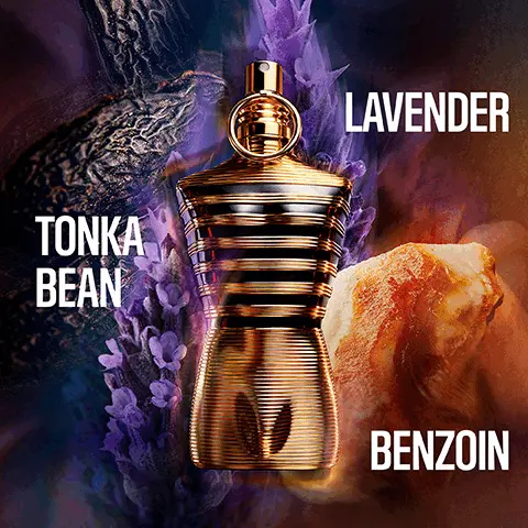Lavender, Tonka Bean, Benzoin. Le Male Eau De Toilette Amber Aromatic. Le Male Le Parfum Eau de Parfum Intense Woody Amber. Le Male Elixir Parfum Amber Aromatic