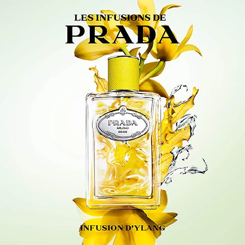Image 1, les infusions de prada. infusion d'ylang. image 2, le infusions de prada. in fusion with you