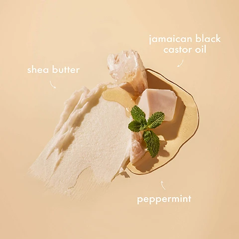 Image 1 - An arrangement of shea butter, Jamaican black castor oil, and peppermint leaves on a light beige background, with labels indicating each ingredient: shea butter, Jamaican black castor oil, and peppermint.
Image 2 - A jar of SheaMoisture Jamaican Black Castor Oil Strong Hold Styling Gel on a plain background, with text indicating its benefits for curly and coily hair, and notes about strong hold, enhancing definition, and non-sticky, non-alcohol formula.