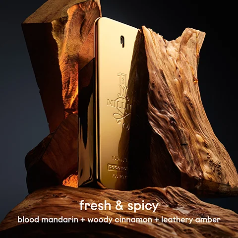A gold bar-shaped perfume bottle labeled 1 MILLION PACO RABANNE 100ml stands upright between dark, textured wood pieces, with text at the bottom reading fresh & spicy blood mandarin + woody cinnamon + leathery amber.