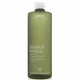 Aveda Botanical Kinetics Esfoliante (150 ml)