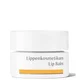 Dr Hauschka Balsamo Labbra 4,5 ml