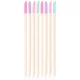 brushworks Bastoncini Spingicuticole
