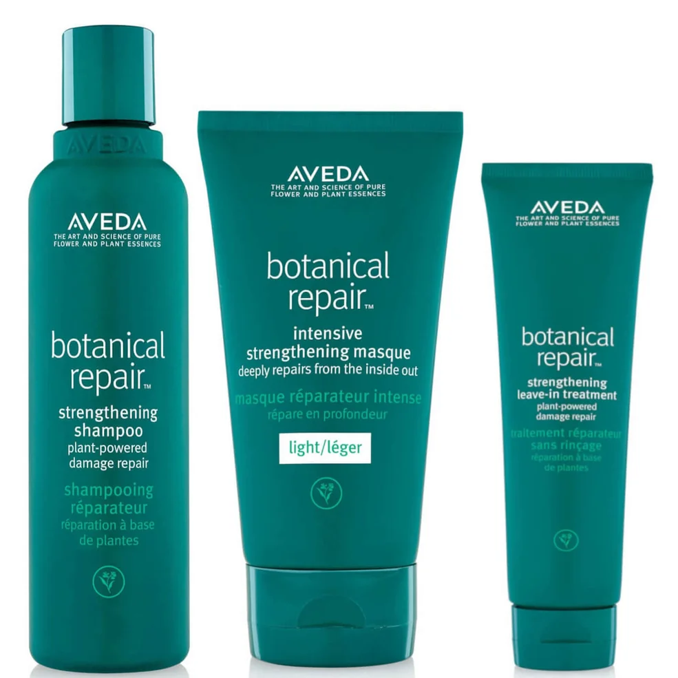 Aveda Botanical Repair Routine Immagine 1