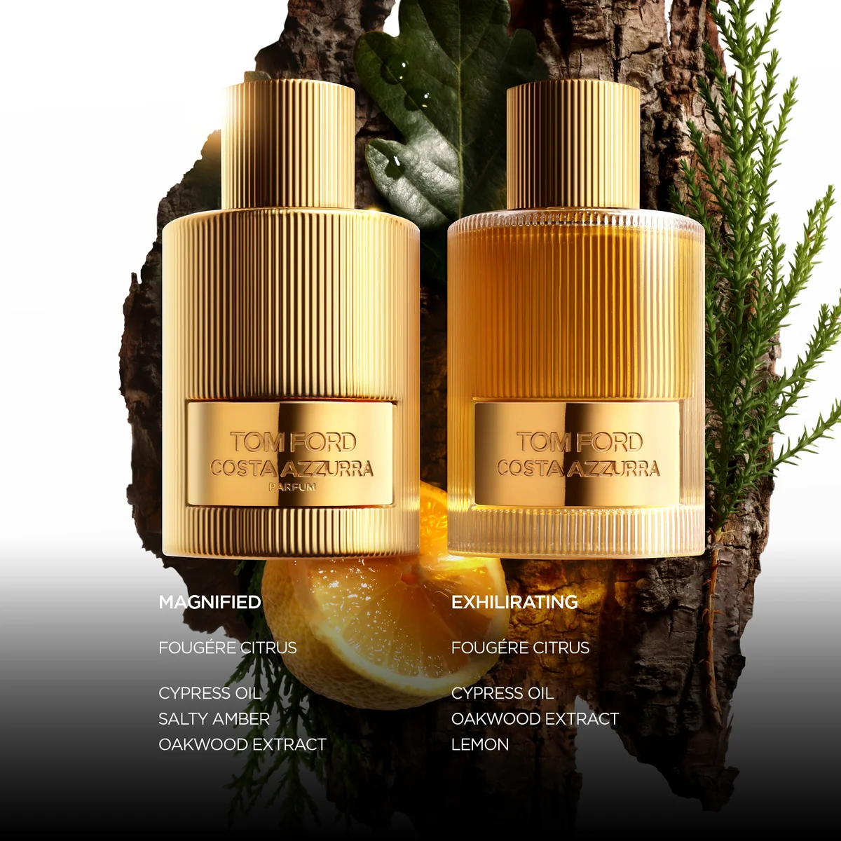 Tom Ford Costa Azzurra Eau de Parfum 100ml - Main Image