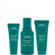 Aveda Exclusive Botanical Repair Strengthening Trio
