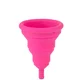 Intimina Lily Cup Compact B