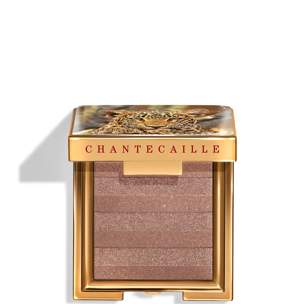 Chantecaille Luminescent Eye 2.5g (Various Shades) Immagine 1
