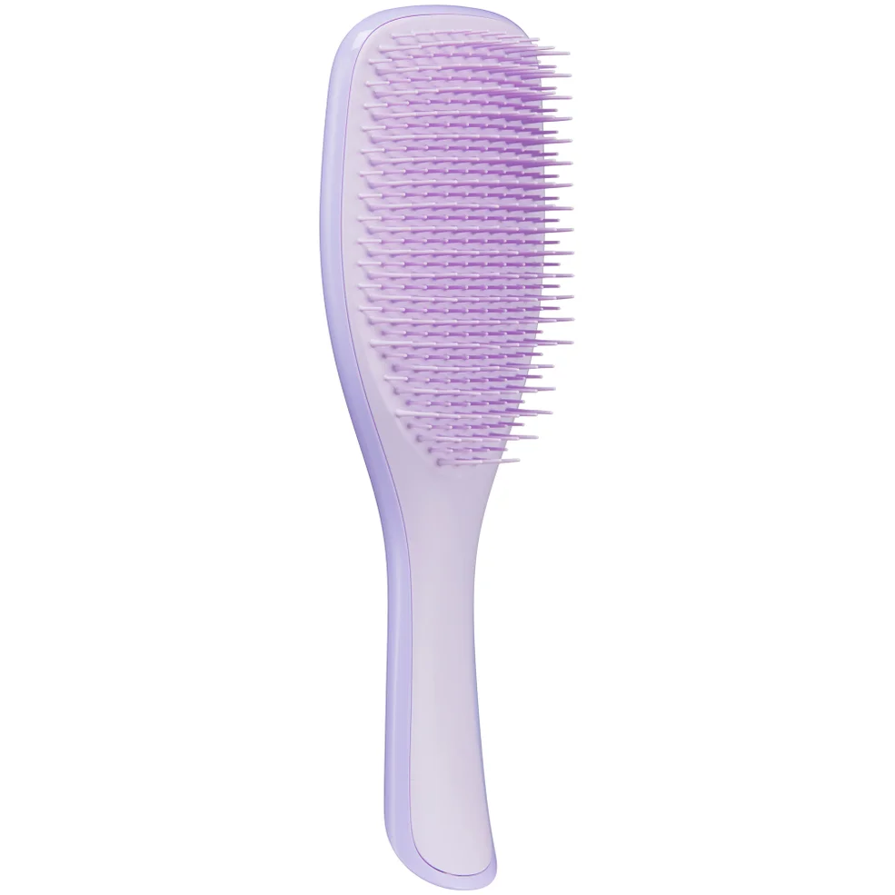 Tangle Teezer The Ultimate Detangler Fine and Fragile Brush - Hypnotic Heather Immagine 1