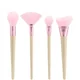 EcoTools Elements Wind-Kissed Finish Kit