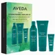 Botanical Repair Black Friday Set 88€