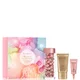 Elizabeth Arden Cofanetto Regalo Nightly Performance Retinol Ceramidi in Capsule (60 Capsule)