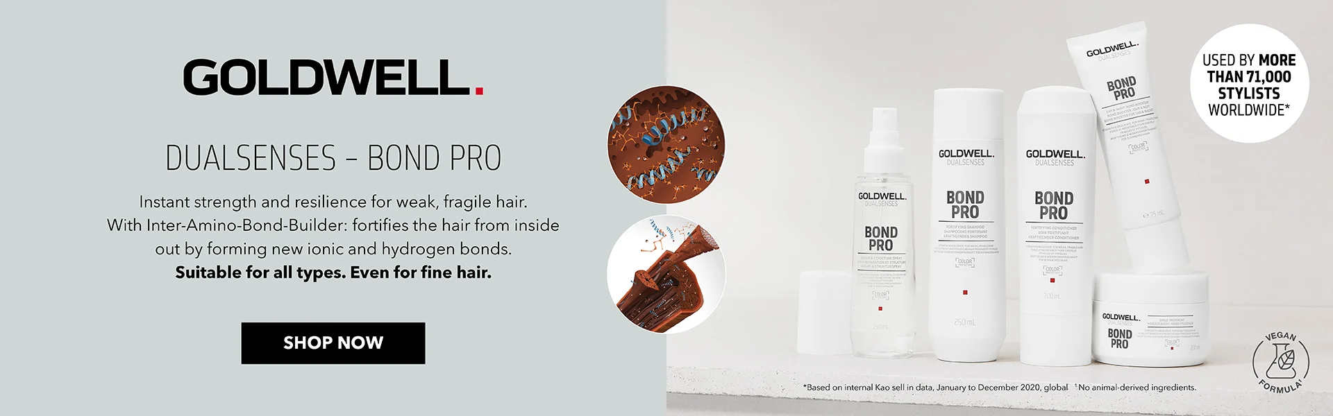 Goldwell Brand Room Banner