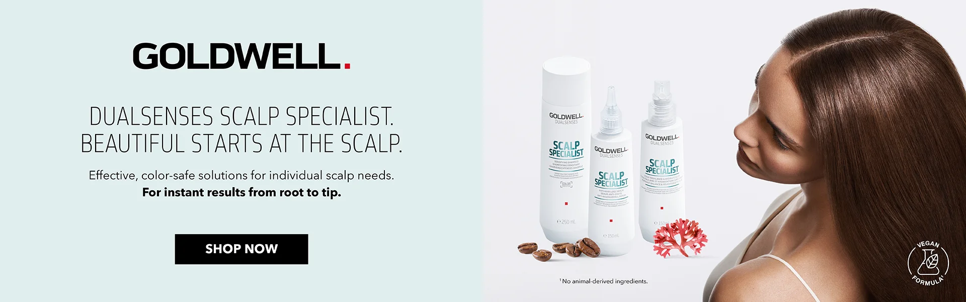 Goldwell Brand Room Banner