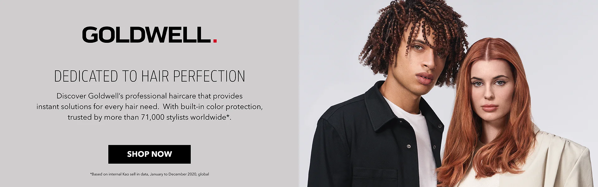 Goldwell Brand Room Banner