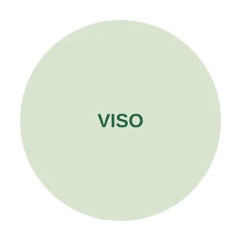 Viso Garnier